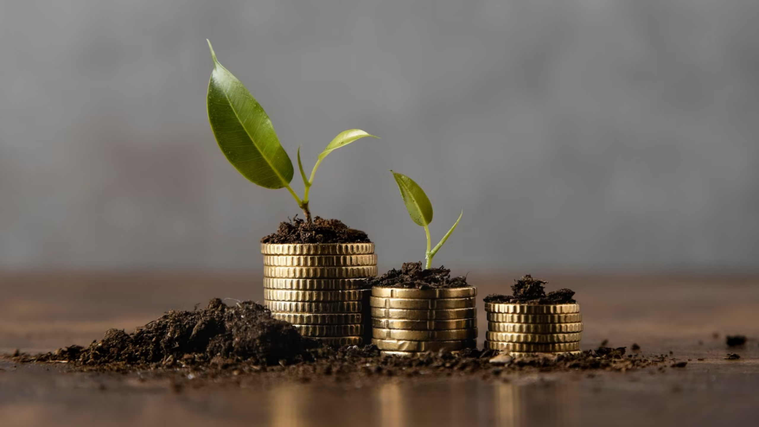 Alternative Investment Funds: An In-Depth Guide to Private Equity, Venture Capital, and Hedge Funds